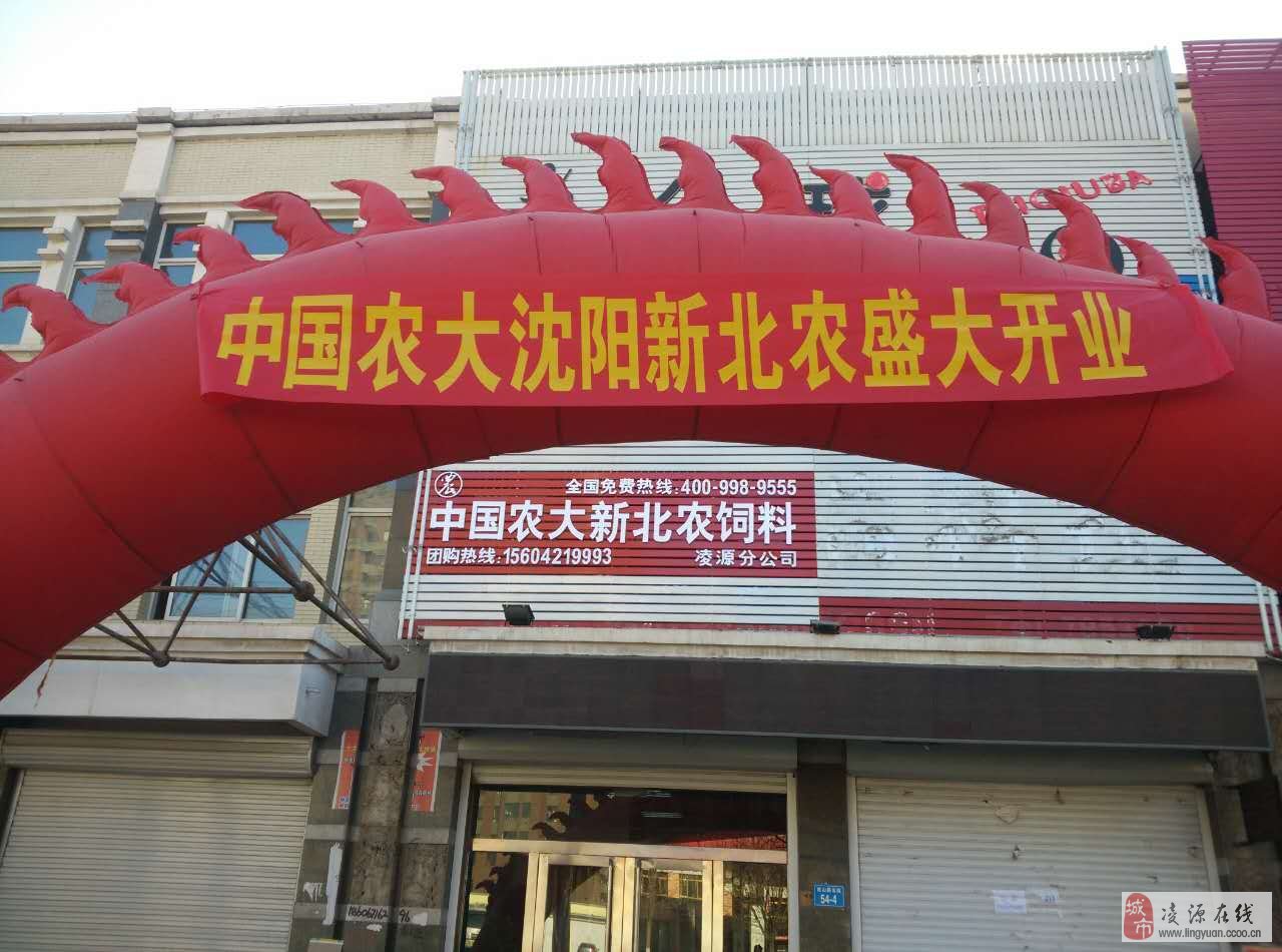 凌源最新招聘信息网，连接企业与人才的桥梁平台