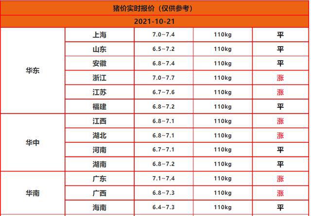 最新猪价行情分析与预测报告