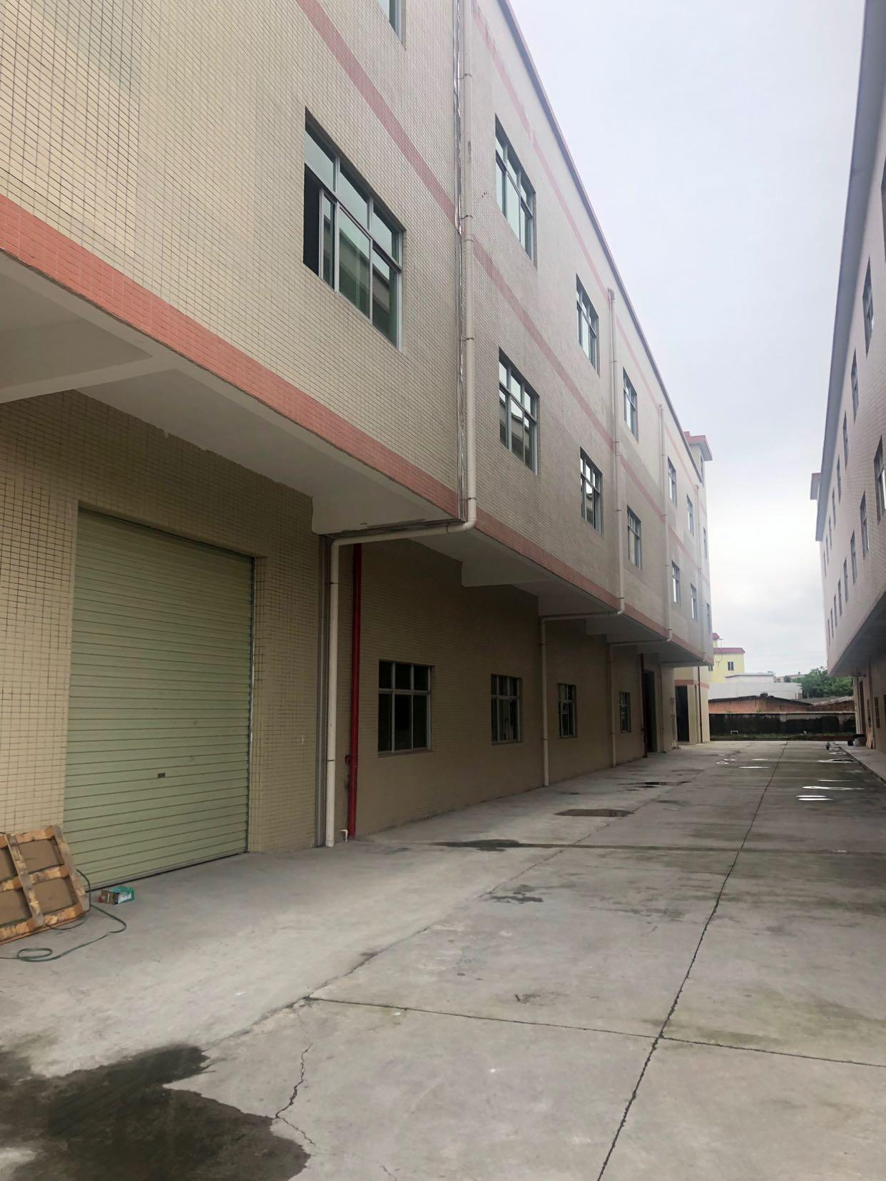 博罗县福田镇最新案件概述与解析