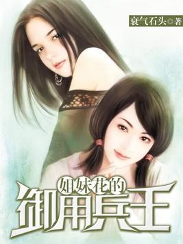 荣耀再燃，御用兵王最新章节在线阅读