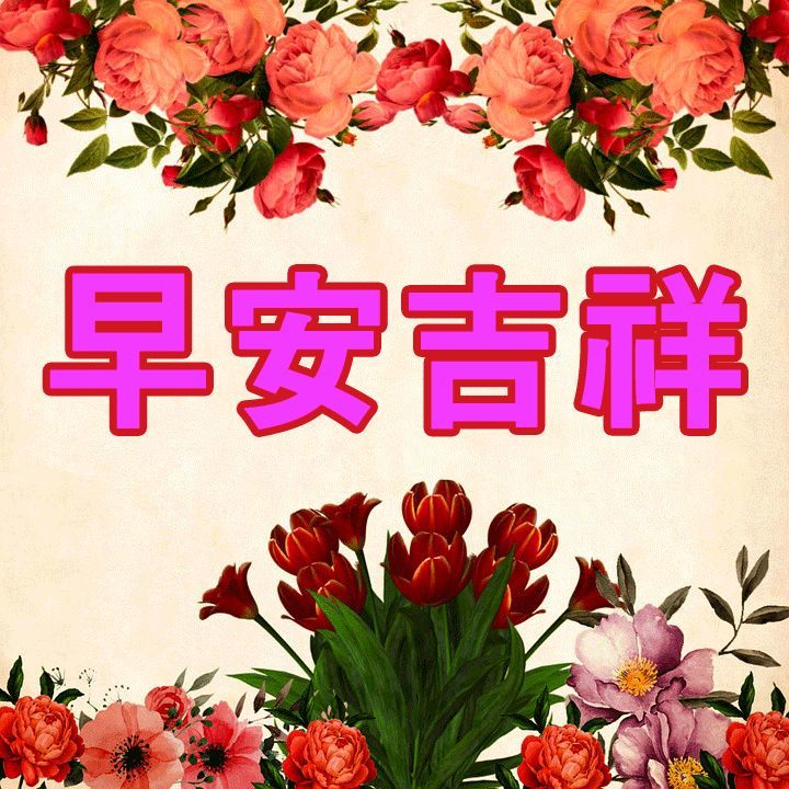 重生之军长早上好，最新更新动态