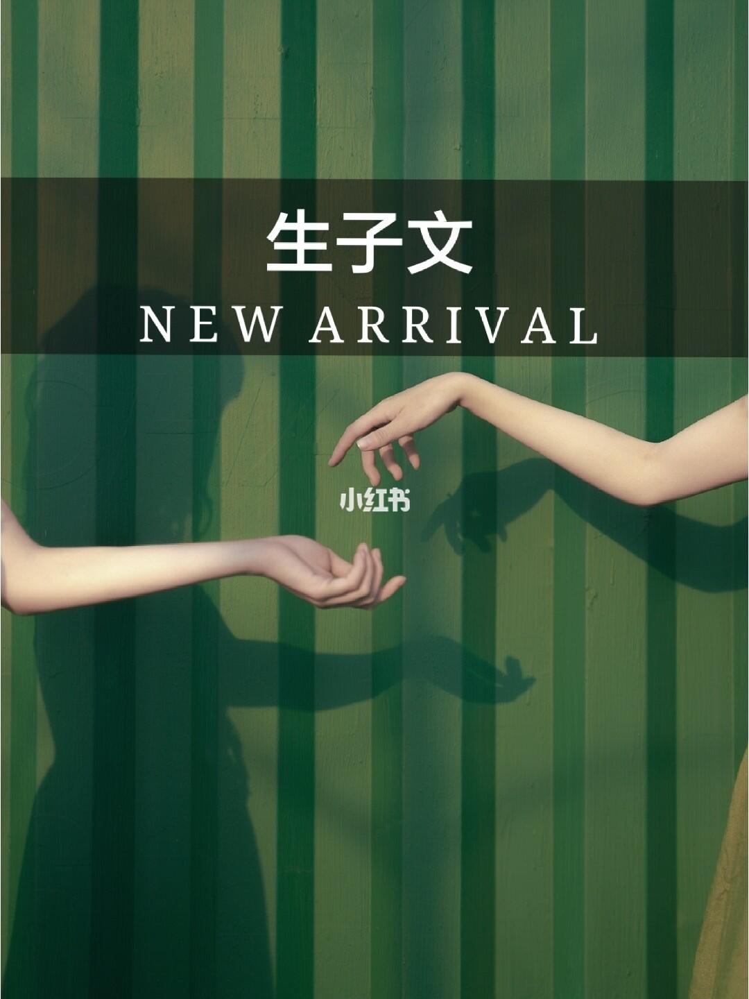 命运之轮揭秘，阴生子最新章节揭晓秘密