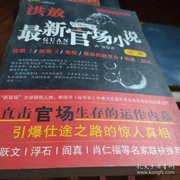 最新官场小说，权力与智慧的较量