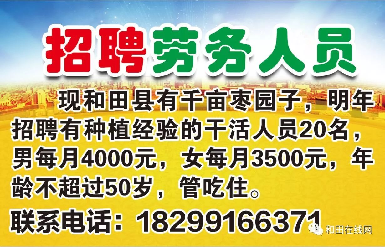 玉田最新招聘信息概览，最新岗位与求职指南