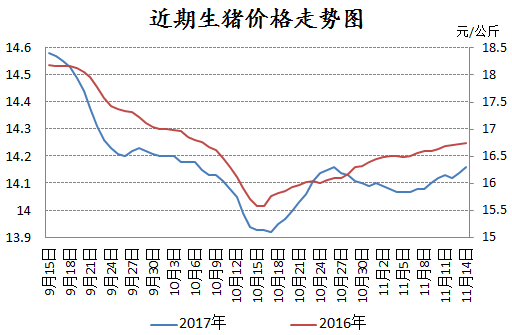 今日生猪价格走势及分析，最新动态与市场洞察