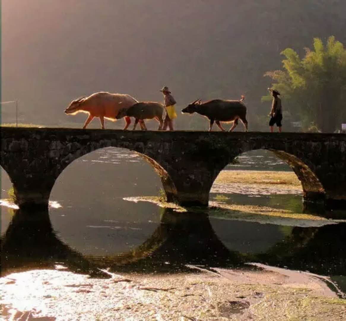 以友为桥，心灵相交，自然美景探索之旅的鼓舞人心之旅