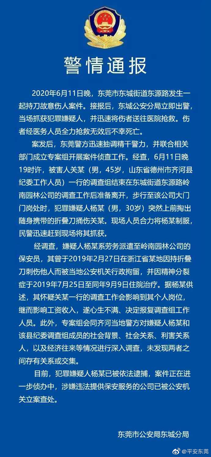 齐河最新案件深度解析