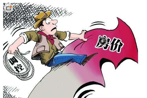 最新社会热点下的温馨日常观察