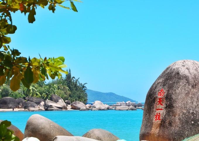 在线最新电影网，自然美景的心灵之旅之旅