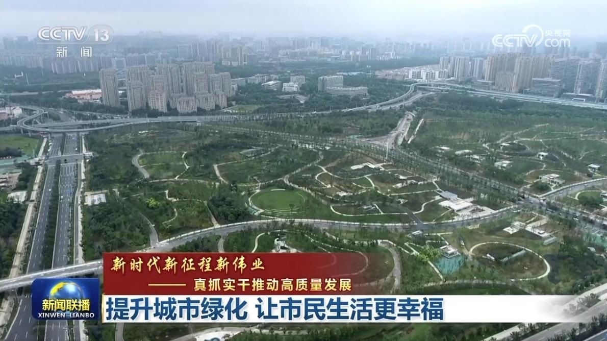 遂宁城市角落的温馨日常最新报道