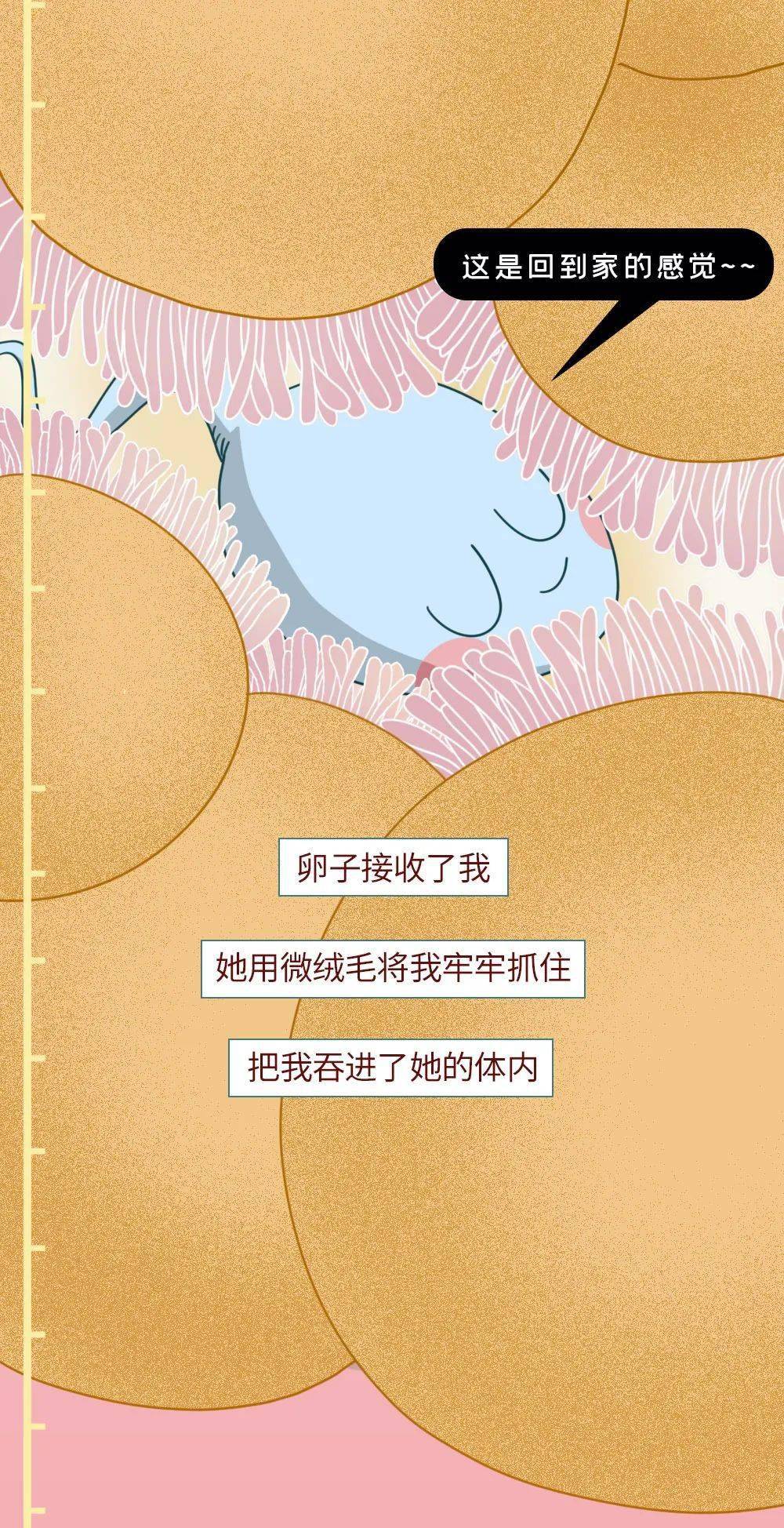 精子窝最新动态，小窝里的温馨日常记录