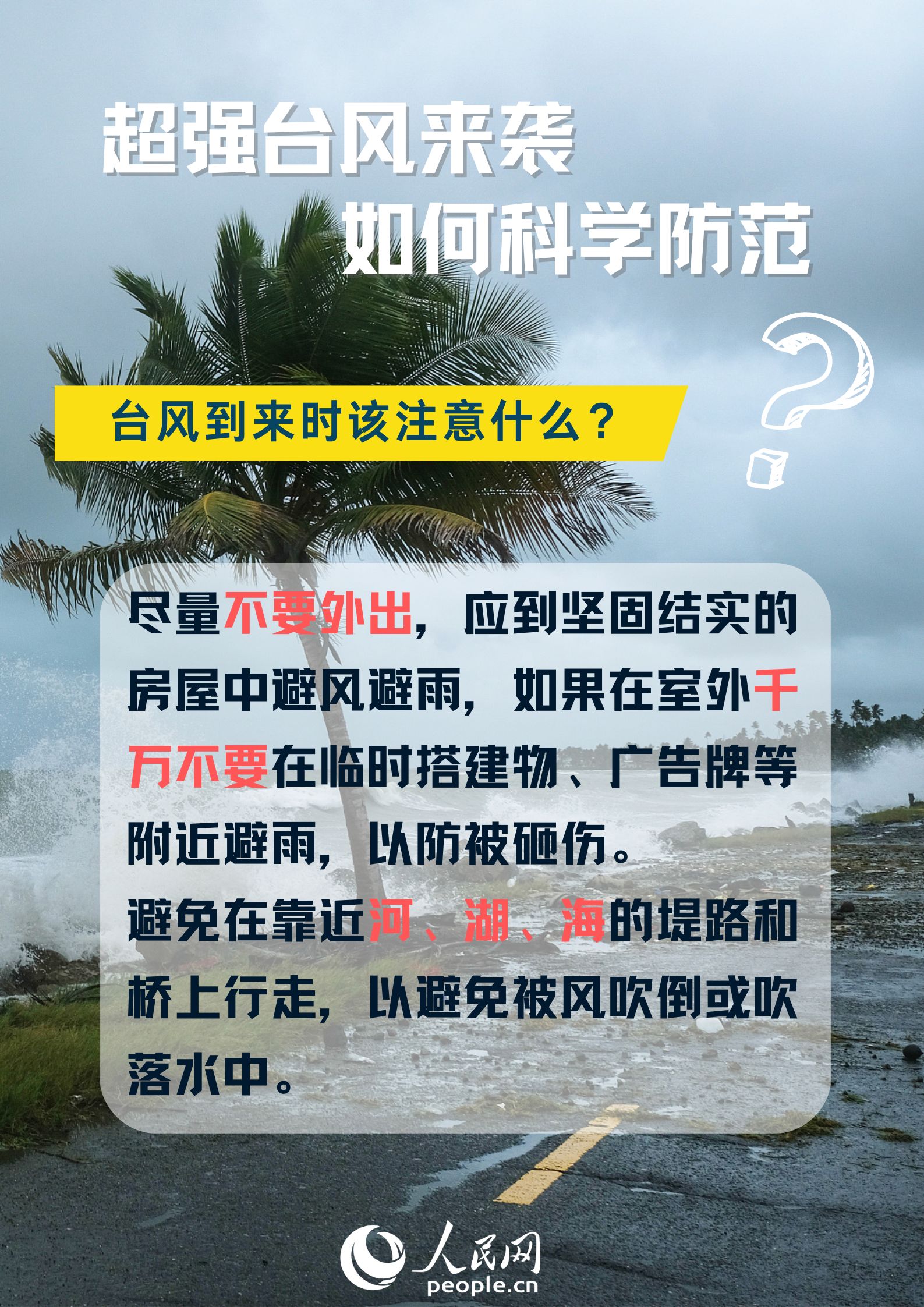 台风最新播报，科技引领生活，实时掌握全新体验