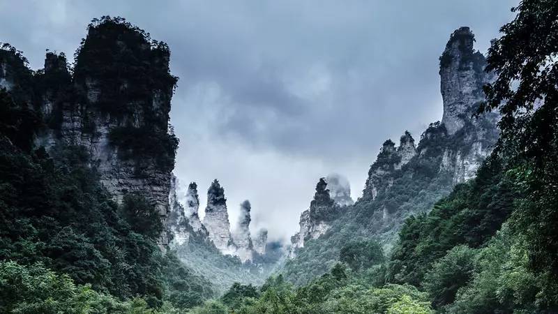 长江润发最新动态，自然美景之旅，探寻内心平和与宁静