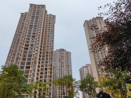 襄阳东津世纪城最新房价，科技前沿居住体验
