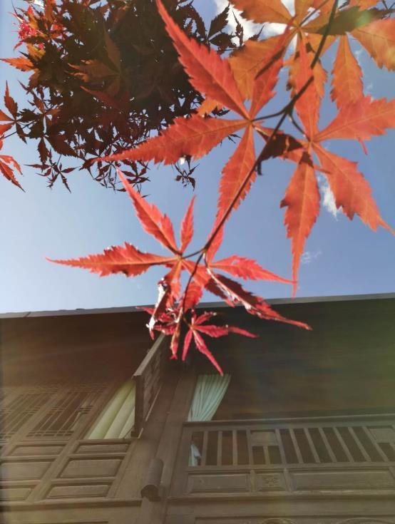 丽江最新招聘揭秘，小巷中的隐藏宝藏与特色小店的无限魅力探索