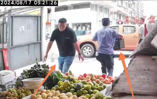 最新电影西瓜之旅，探寻自然美景，寻觅内心平静