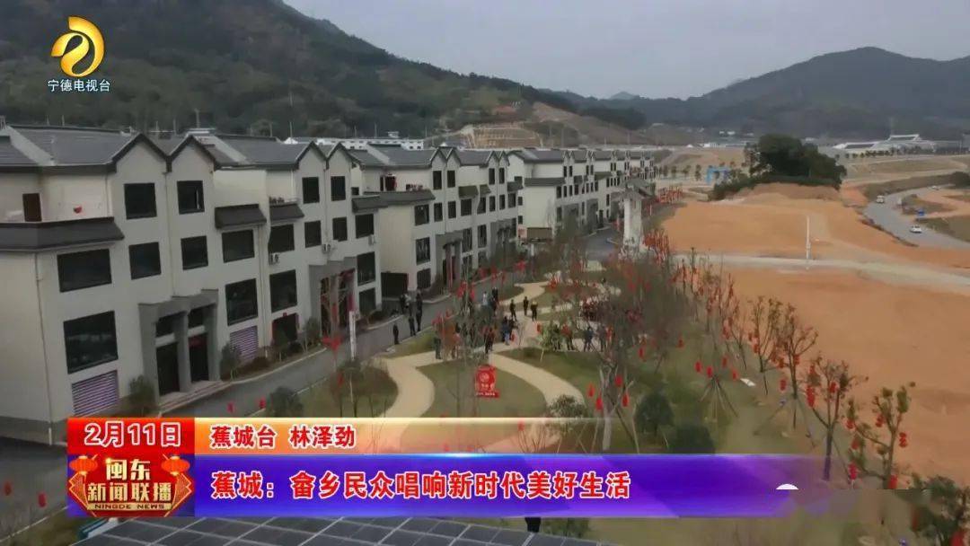 宁德最新新闻，小巷深处的独特风味探索