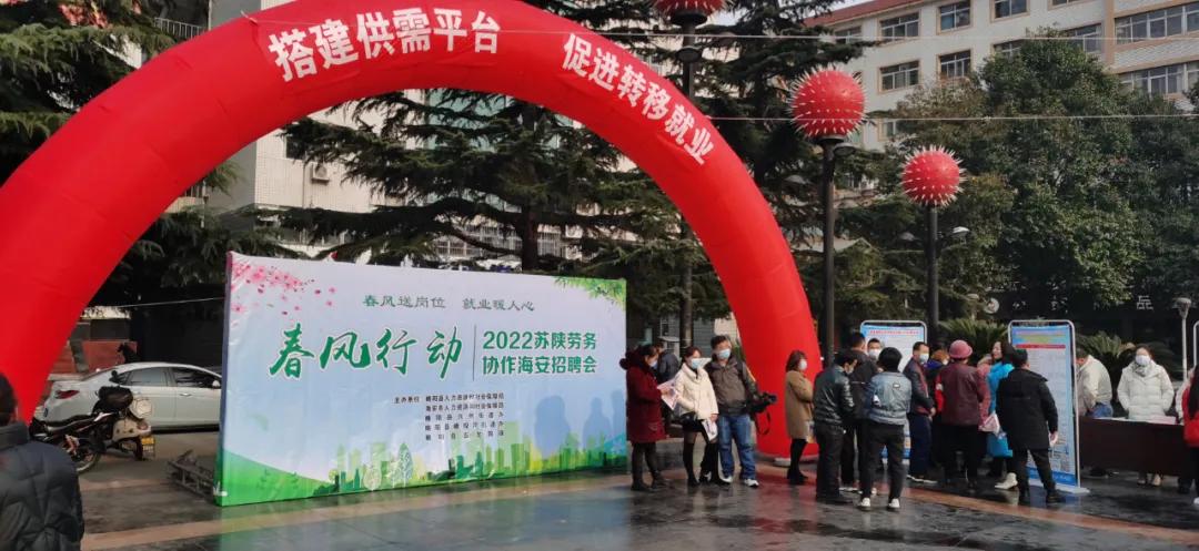 海安最新招聘信息详解与观点论述