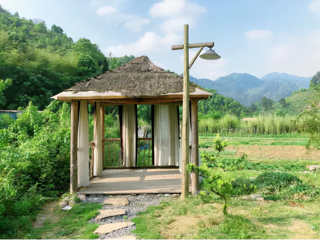 最新在线网址，自然美景的心灵之旅启程