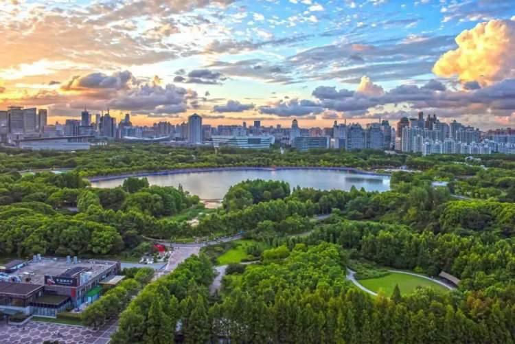 最新电视剧在线观看与探索自然之旅，追寻内心平和的旅程