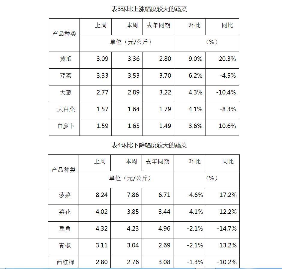 今日大葱价格行情概览，科技引领生活，实时掌握大葱市场动态