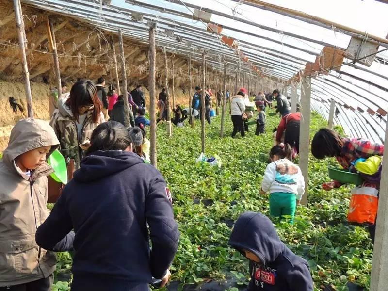沈阳最新天气，探索自然美景之旅，寻找内心的宁静