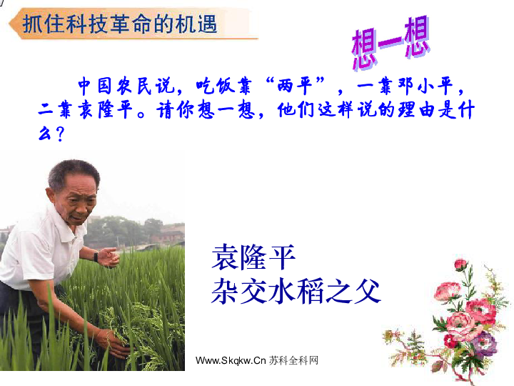 欣欣向荣最新小说创作指南，从入门到佳作