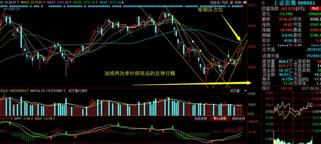 宝鹰股份引领行业变革，未来发展展望揭秘最新动态消息。