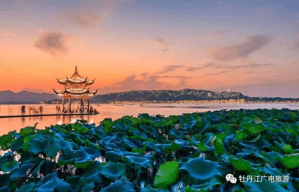 真如副中心自然美景之旅，最新动态与内心宁静的探寻