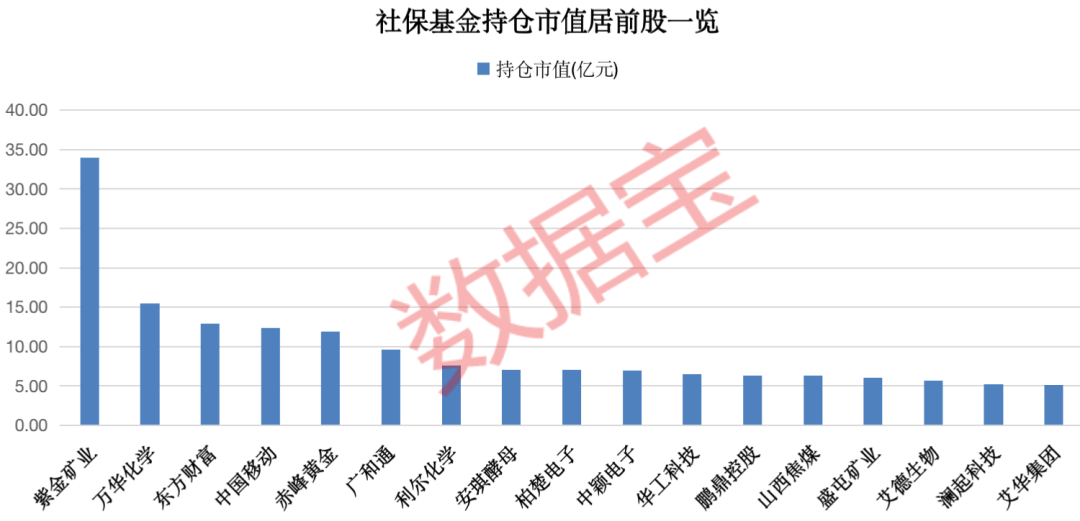 最新社保持仓股票，投资新风向的指引！📈