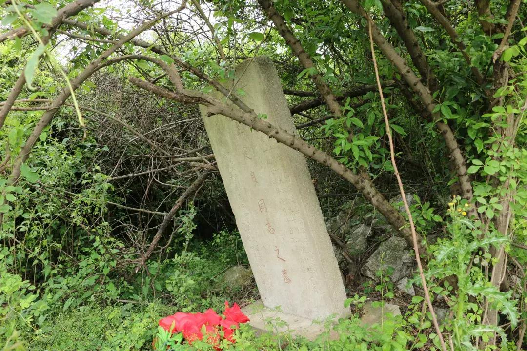 胡集论坛最新招聘信息及观点论述汇总