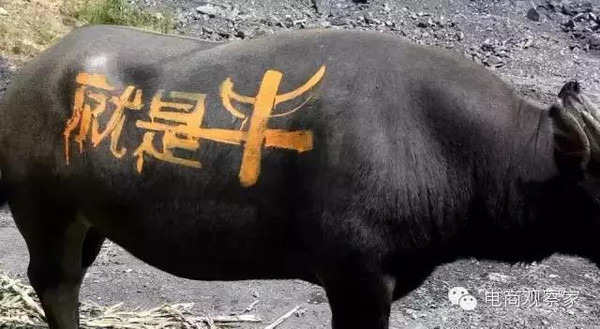 2024今晚开的四不像生肖图,详细数据解读_美学版95.781