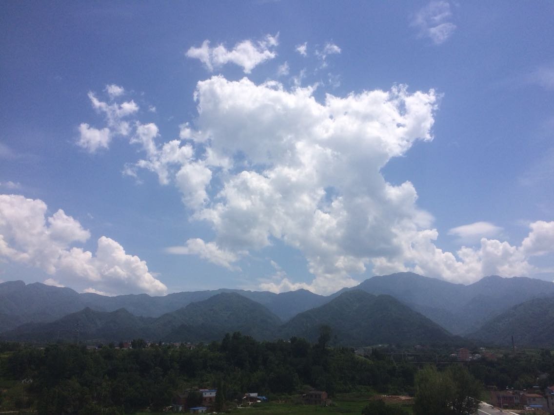 未来15天天气预测