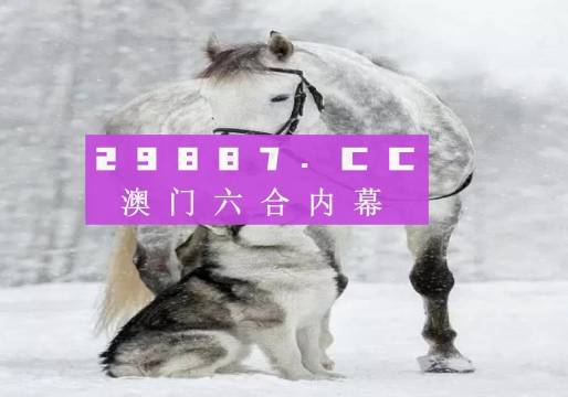 7777788888精准跑狗图,创新计划制定_百搭版95.614