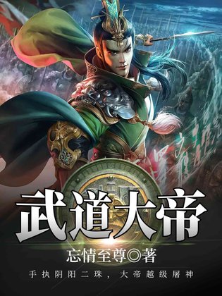 武道大帝最新章,武道大帝最新章，英雄崛起与纷争的交织