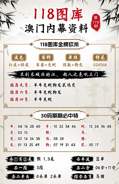 今晚澳门特马开什么,具象化表达解说_任务版95.974
