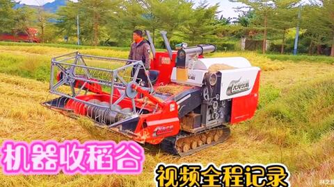 最新小型水稻收割机，小巷深处的农业黑科技探秘