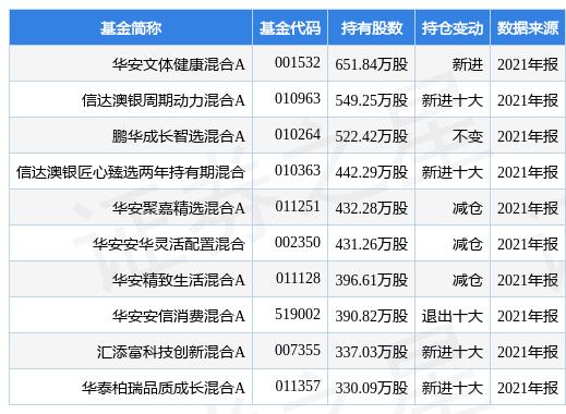 中兵红箭最新动态与小巷深处的独特风味探秘