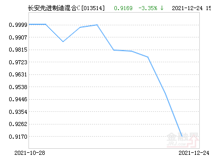 今日最新净值探讨，关于163113基金净值查询