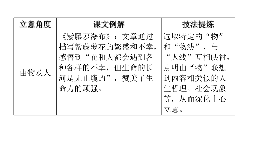 最新分组，引领新时代的分类方式革新