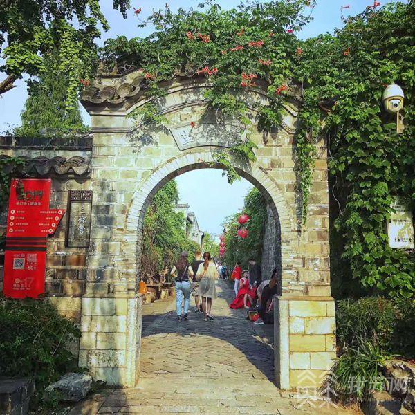 最新网红歌曲探秘，都市小巷中的特色音乐宝藏