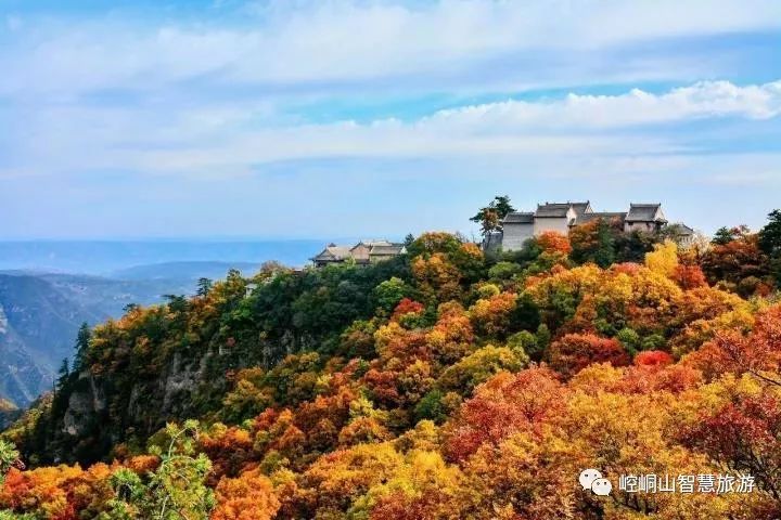 桃隐最新版入口，轻松探索自然美景的旅程