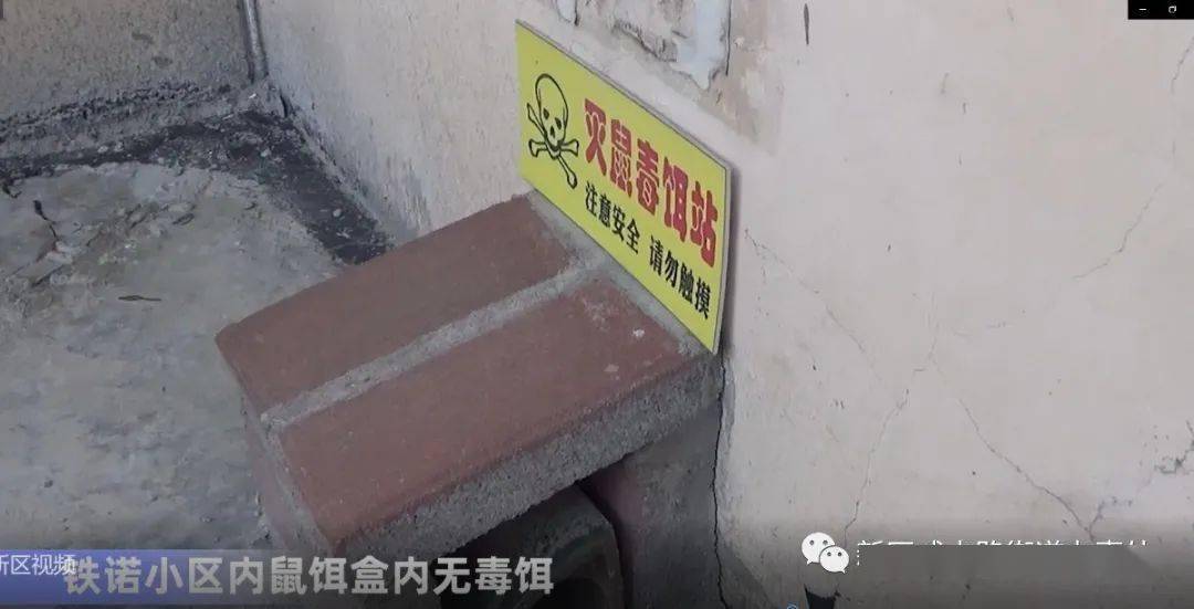 余凡最新资讯，技能提升与任务完成指南（适用于初学者与进阶用户）
