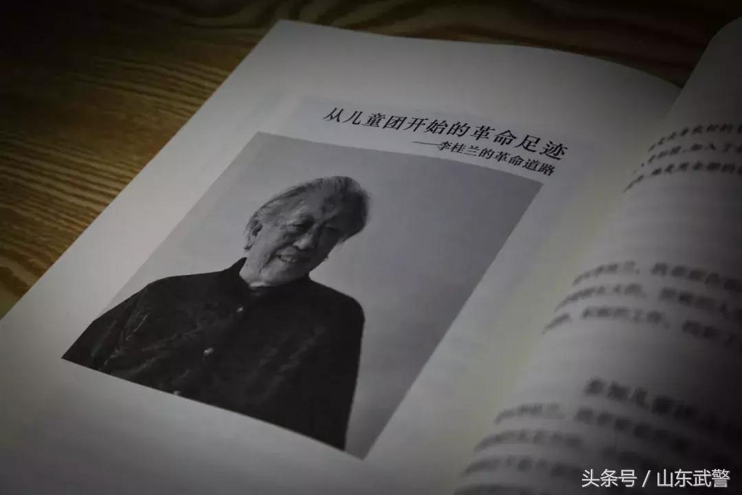 刘涛最新电视剧2019，时代印记与艺术典范的双重展现