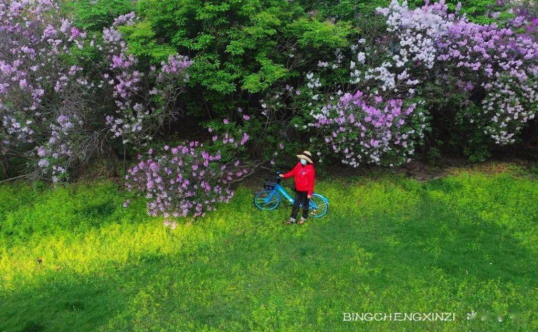 婷婷丁香五月，自然美景鼓舞之旅