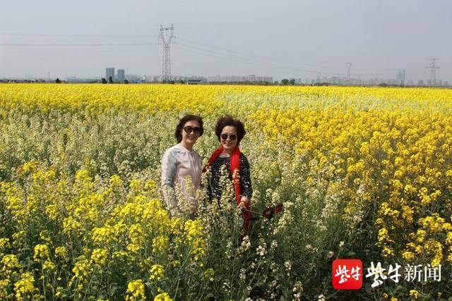 美国最新疫情背景下的自然美景之旅，寻找内心宁静与力量的旅程