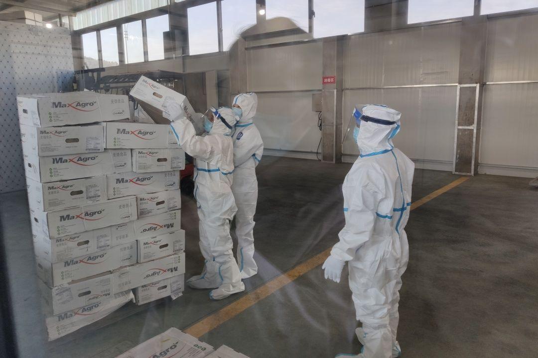 核酸检测阳性最新情况全面解读与案例分析报告揭秘真相！
