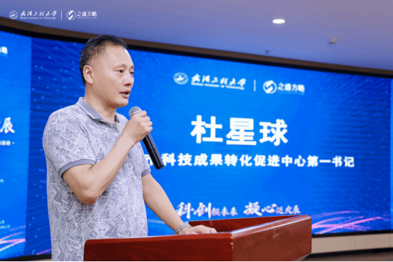 蔡莉最新动态，辉煌成就展望未来