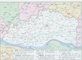 河南原阳县最新案件,河南原阳县最新案件详述