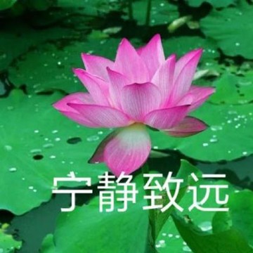 科技融合情感，最新情侣头像老年人——岁月见证浪漫